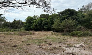 SAN CARLOS / LAS LAGARTIJAS / 250000M / GANADERIA / USO COMERCIAL AG