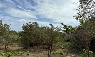 SAN CARLOS / LAS LAGARTIJAS / 250000M / GANADERIA / USO COMERCIAL AG