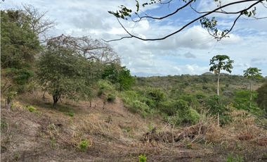 SAN CARLOS / LAS LAGARTIJAS / 250000M / GANADERIA / USO COMERCIAL AG