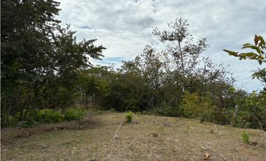 SAN CARLOS / LAS LAGARTIJAS / 250000M / GANADERIA / USO COMERCIAL AG