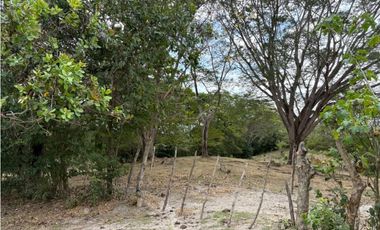 SAN CARLOS / LAS LAGARTIJAS / 250000M / GANADERIA / USO COMERCIAL AG