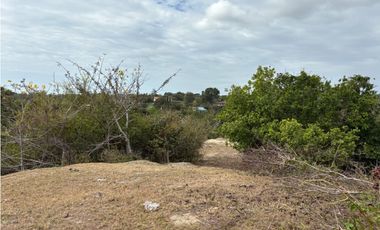 SAN CARLOS / LAS LAGARTIJAS / 250000M / GANADERIA / USO COMERCIAL AG