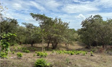 SAN CARLOS / LAS LAGARTIJAS / 250000M / GANADERIA / USO COMERCIAL AG