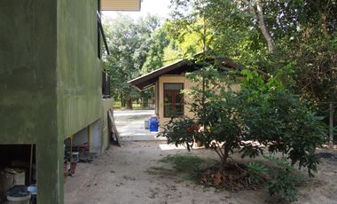 3 Bedroom House for sale in Yu Wa, Chiang Mai