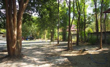 3 Bedroom House for sale in Yu Wa, Chiang Mai
