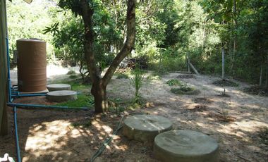 3 Bedroom House for sale in Yu Wa, Chiang Mai