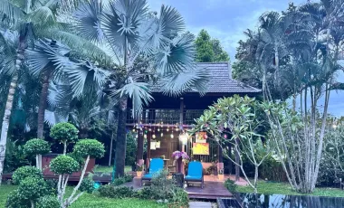 Beautiful Pool Villa in Doi Saket for Sale and Rent