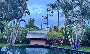 Beautiful Pool Villa in Doi Saket for Sale and Rent