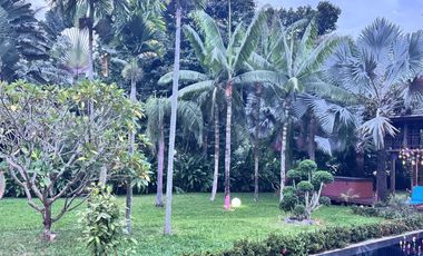 Beautiful Pool Villa in Doi Saket for Sale and Rent