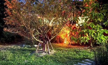 Beautiful Pool Villa in Doi Saket for Sale and Rent