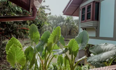 2 Bedroom House for sale in Luang Nuea, Chiang Mai