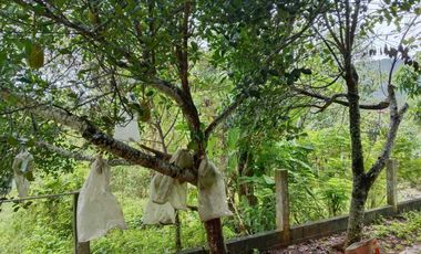 2 Bedroom House for rent in Ao Nang, Krabi