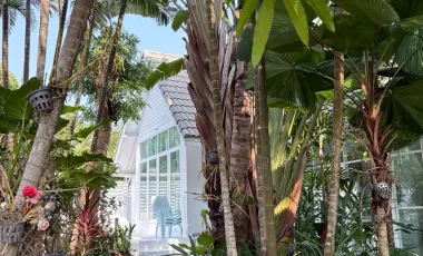 3 Bedroom Villa for sale in Mae Sa, Chiang Mai