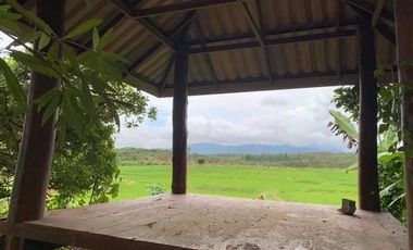 3 Bedroom House for sale in , Chiang Mai