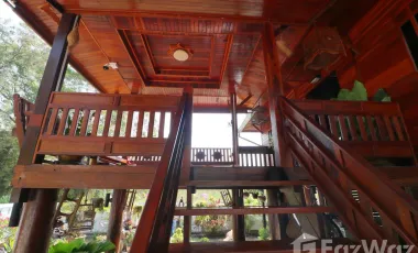 3 Bedroom House for sale in Khon San, Chaiyaphum