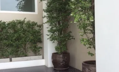 7 Bedrooms, 7 Bathrooms