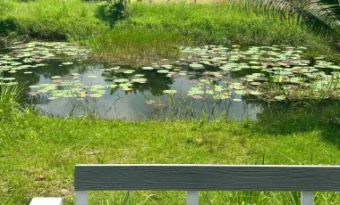 2 Bedroom House for sale in Ban Na, Nakhon Nayok