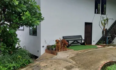 7 Bedroom Villa for sale in Ko Phayam, Ranong