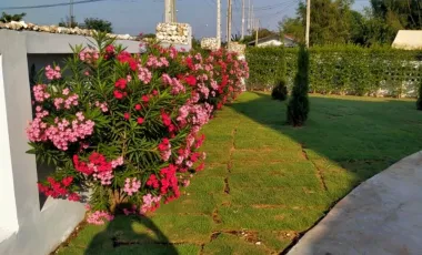 5 Bedroom House for sale in Khao Din Phatthana, Saraburi
