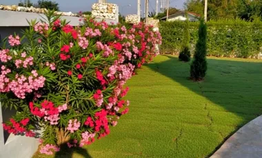 5 Bedroom House for sale in Khao Din Phatthana, Saraburi
