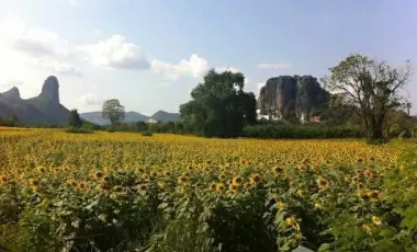 5 Bedroom House for sale in Khao Din Phatthana, Saraburi