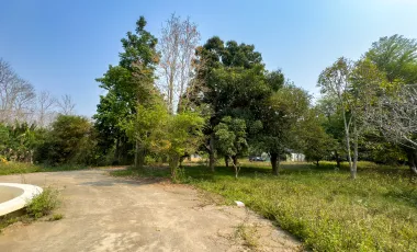 7 Bedroom House for sale in Rim Kok, Chiang Rai
