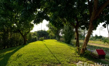4 Bedroom Villa for sale in Nong Phueng, Chiang Mai