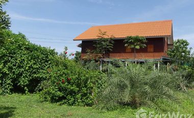 4 Bedroom Hotel for sale in Um Mao, Kalasin