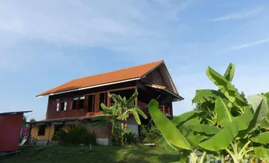 4 Bedroom Hotel for sale in Um Mao, Kalasin