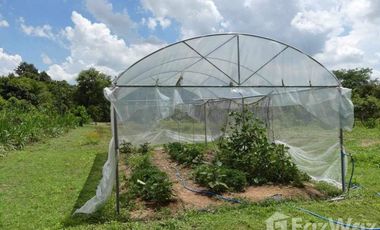 4 Bedroom Hotel for sale in Um Mao, Kalasin