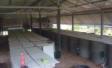 4 Bedroom Hotel for sale in Um Mao, Kalasin
