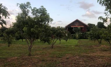 4 Bedroom Hotel for sale in Um Mao, Kalasin