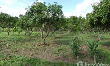4 Bedroom Hotel for sale in Um Mao, Kalasin