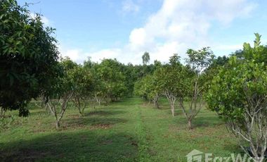 4 Bedroom Hotel for sale in Um Mao, Kalasin