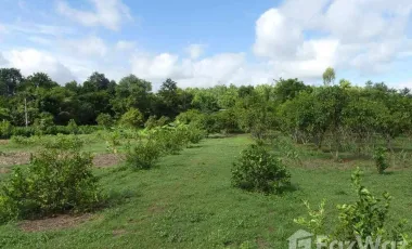 4 Bedroom Hotel for sale in Um Mao, Kalasin