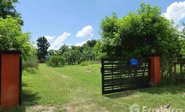 4 Bedroom Hotel for sale in Um Mao, Kalasin