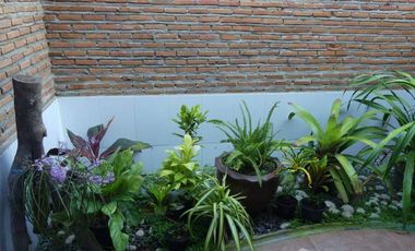 4 Bedroom Hotel for sale in Um Mao, Kalasin