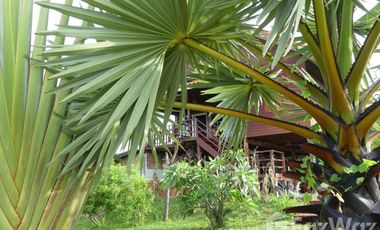 4 Bedroom Hotel for sale in Um Mao, Kalasin