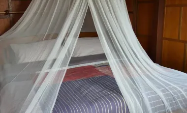 4 Bedroom Hotel for sale in Um Mao, Kalasin