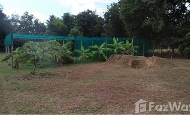 4 Bedroom Hotel for sale in Um Mao, Kalasin