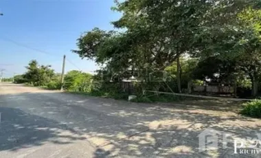 Land for sale in Khok Krabue, Samut Sakhon