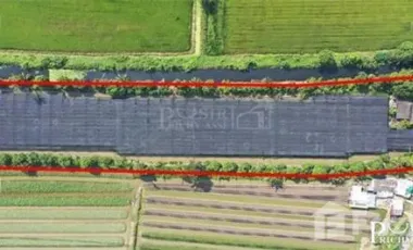 Land for sale in Khok Krabue, Samut Sakhon