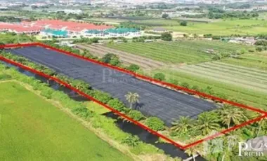 Land for sale in Khok Krabue, Samut Sakhon