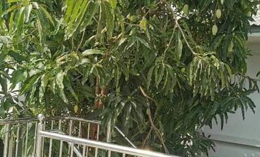 3 Bedroom House for sale at Pruklada Bangna