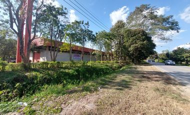 Warehouse for sale in Doi Lan, Chiang Rai