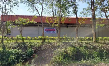 Warehouse for sale in Doi Lan, Chiang Rai