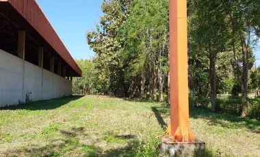 Warehouse for sale in Doi Lan, Chiang Rai