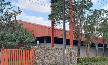 Warehouse for sale in Doi Lan, Chiang Rai