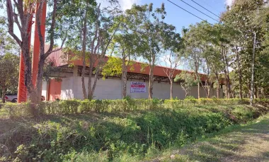 Warehouse for sale in Doi Lan, Chiang Rai