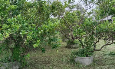 5 Bedroom House for sale in Na Sameng, Mukdahan